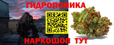 трава Кандалакша