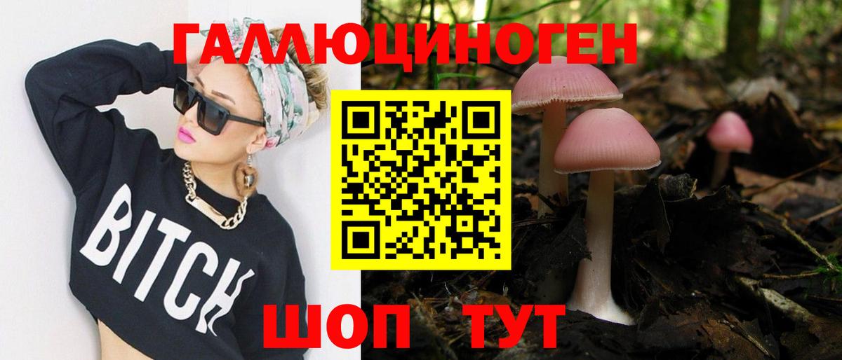 Псилоцибиновые грибы Psilocybe Шахты